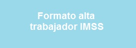 Formato alta IMSS